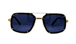 CT0194S 003